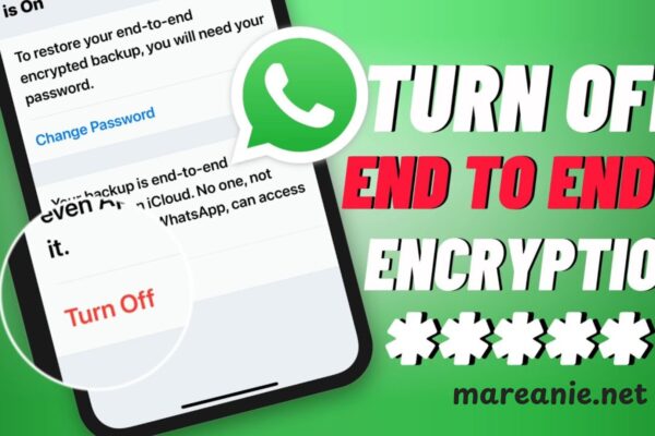 How to Turn Off End-to-End Encryption & Why You Might Not Want To